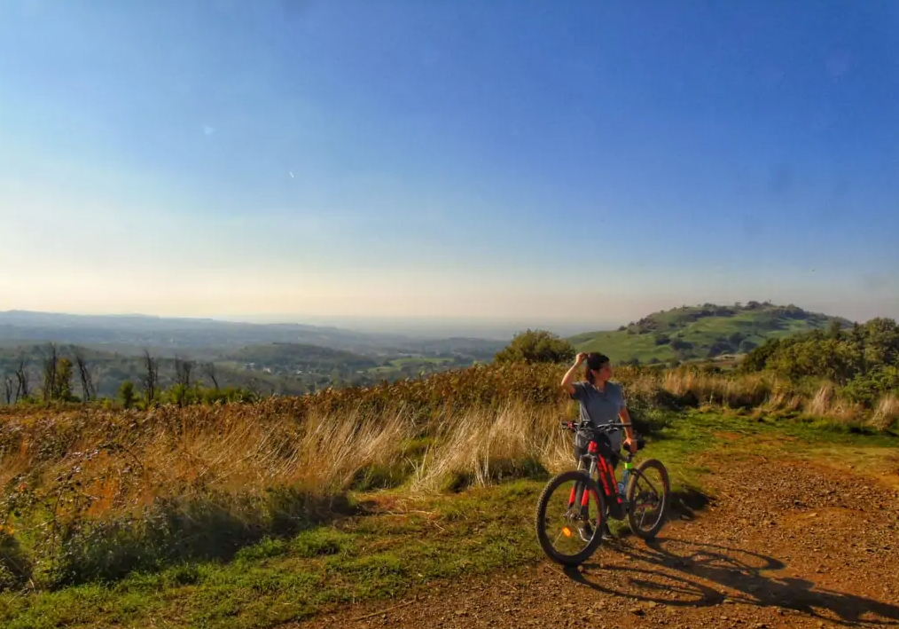 E-Bike Tour Through History and Vineyards in Frascati, Rome, photo 3