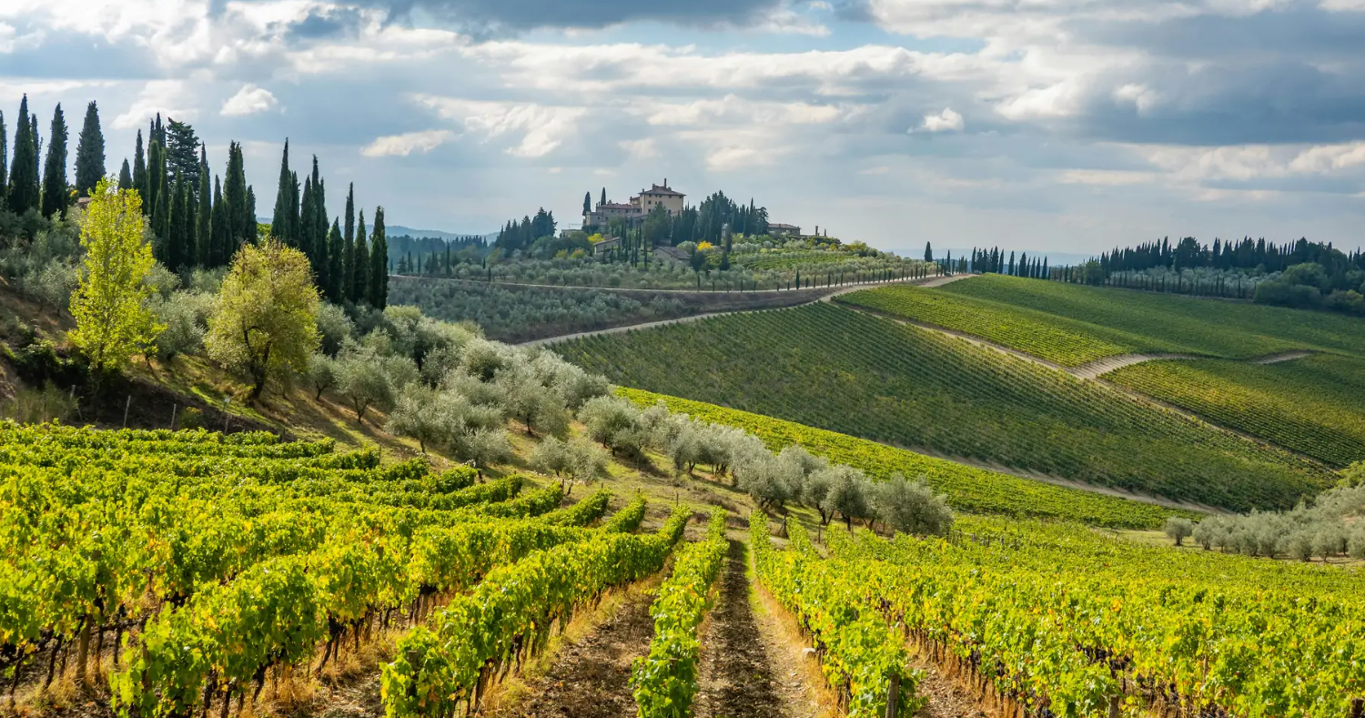 The Tuscany Experience: 3-Day Rome E-Biking Experience, photo 3