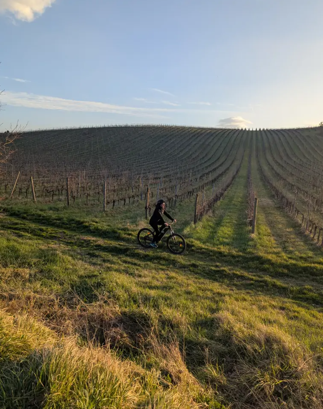 3-Day Umbria E-Bike Tour: Villages, Vineyards and Olive Groves in Rome gallery 2