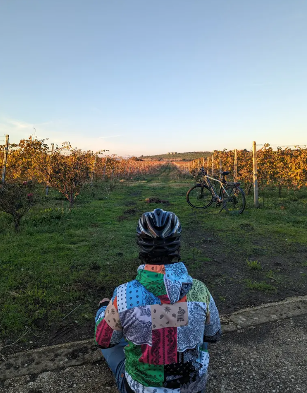 3-Day Rome Guided E-Bike Tour: Castel Gandolfo and Frascati, listing photo