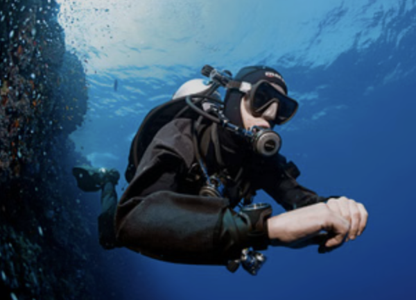 Try Scuba in Malta: Guided Open Sea Dive for Absolute Beginners gallery 4