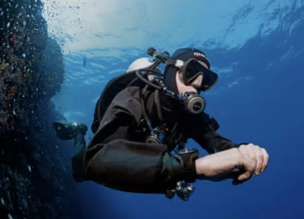 Try Scuba in Malta: Guided Open Sea Dive for Absolute Beginners, photo 2