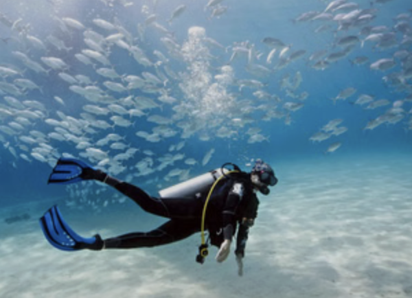 Try Scuba in Malta: Guided Open Sea Dive for Absolute Beginners, photo 3