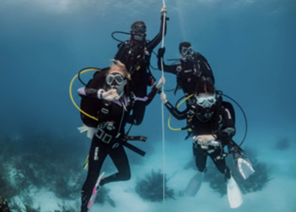 Try Scuba in Malta: Guided Open Sea Dive for Absolute Beginners gallery 2