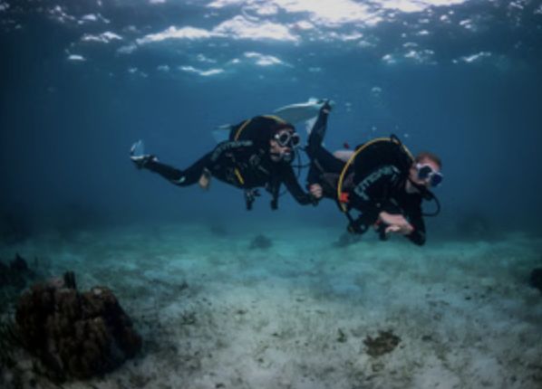 Try Scuba in Malta: Guided Open Sea Dive for Absolute Beginners, photo 4