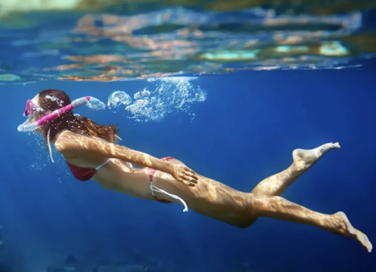 Snorkelling Adventure: Comino, Blue Lagoon and Crystal Lagoon, listing photo