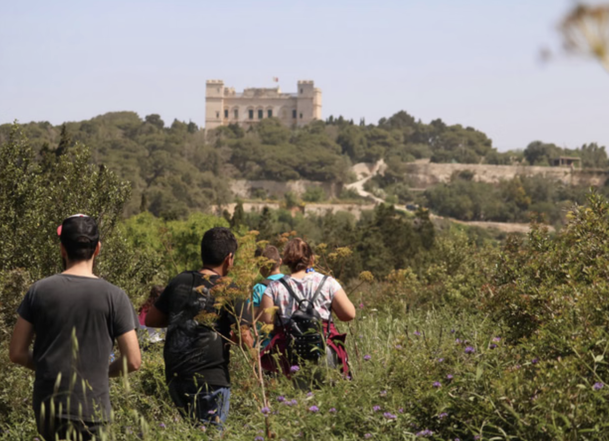 Private Buskett Woodlands & Dingli Cliffs Nature Walk with Expert Botanist Guide, listing photo