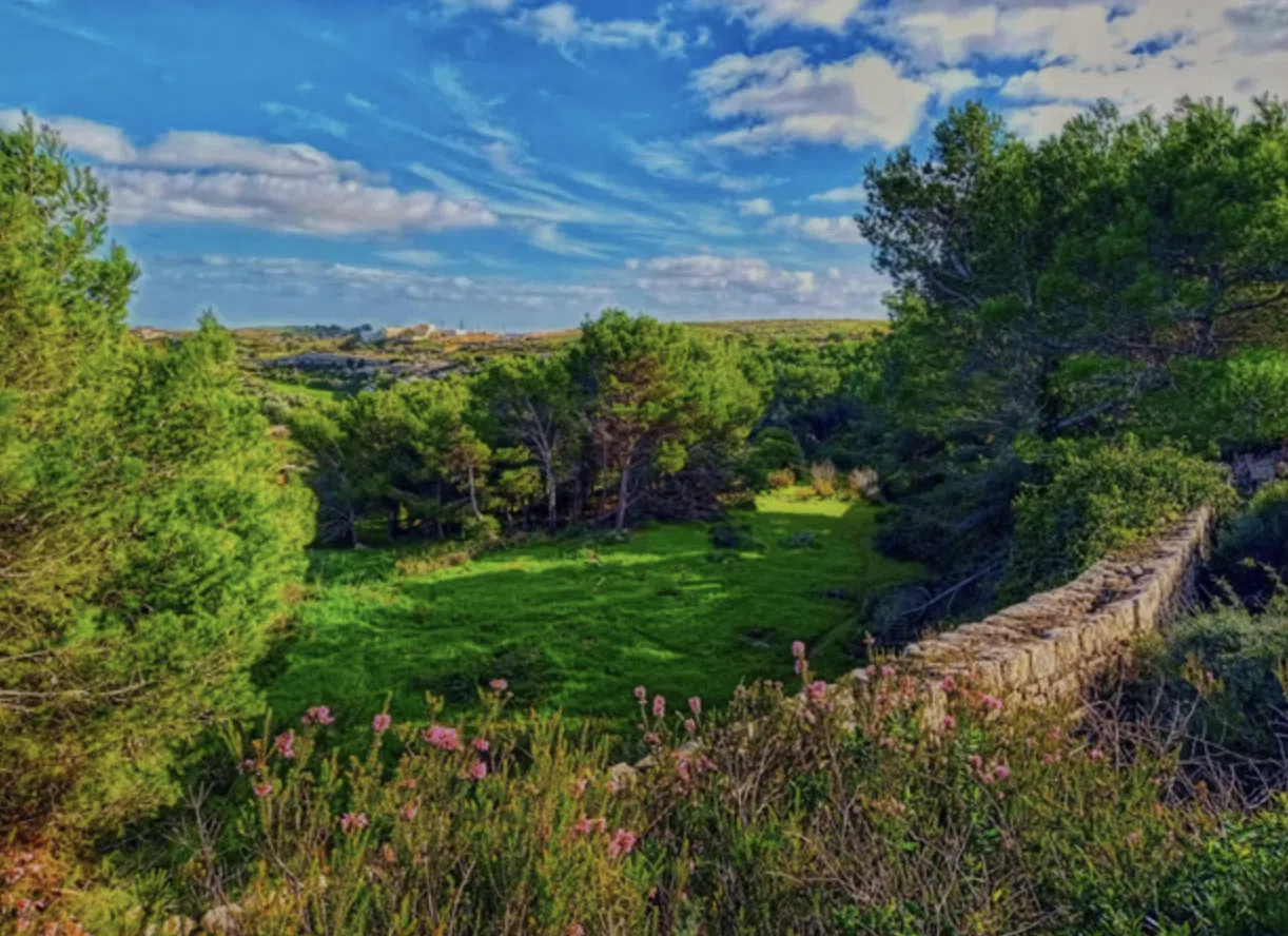 Private Chadwick Lakes, Victoria Lines & Bingemma Valley Nature Walk with Botanist, listing photo