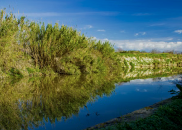 Private Chadwick Lakes, Victoria Lines & Bingemma Valley Nature Walk with Botanist gallery 3
