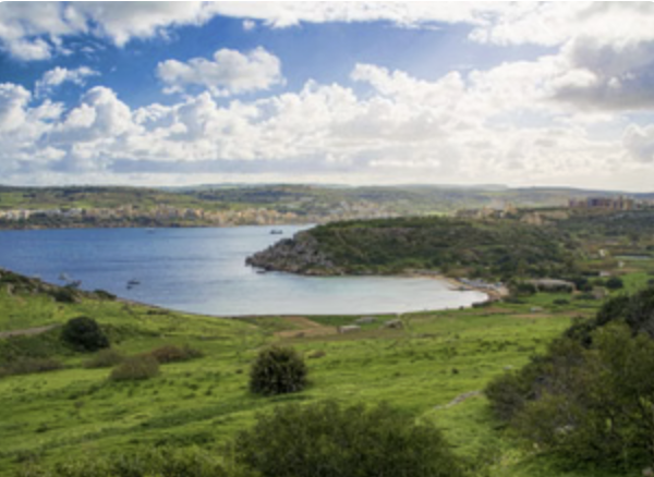 Mistra Valley & Selmun Nature Walking Tour (Private Botanist-Led Hike) gallery 4