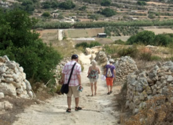 Mistra Valley & Selmun Nature Walking Tour (Private Botanist-Led Hike), photo 3
