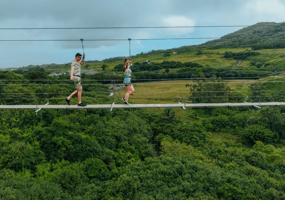 Suspended Bridge Walk at La Vallée des Couleurs, photo 2