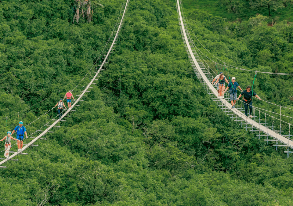 Suspended Bridge Walk at La Vallée des Couleurs, photo 3