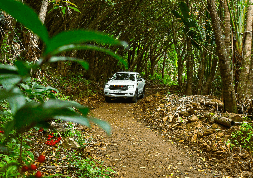 4×4 Guided Park Tour at La Vallée des Couleurs, photo 3