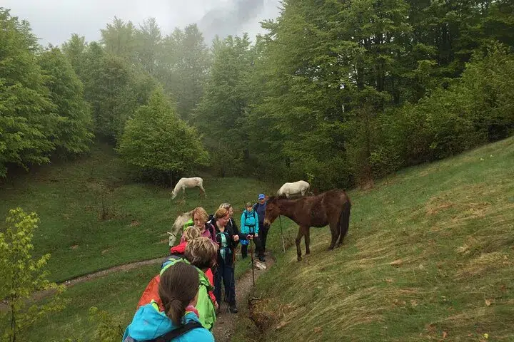 5-Day Albanian Alps Hiking Adventure: Valbona, Theth & Koman Lake, photo 4