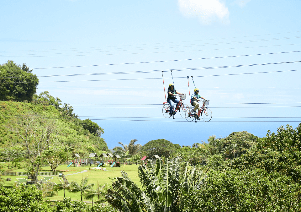Bicycle Zip Ride at La Vallée des Couleurs, photo 3