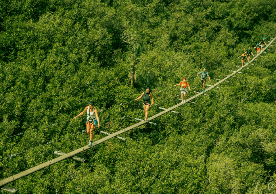 Suspended Bridge Walk at La Vallée des Couleurs, photo 4