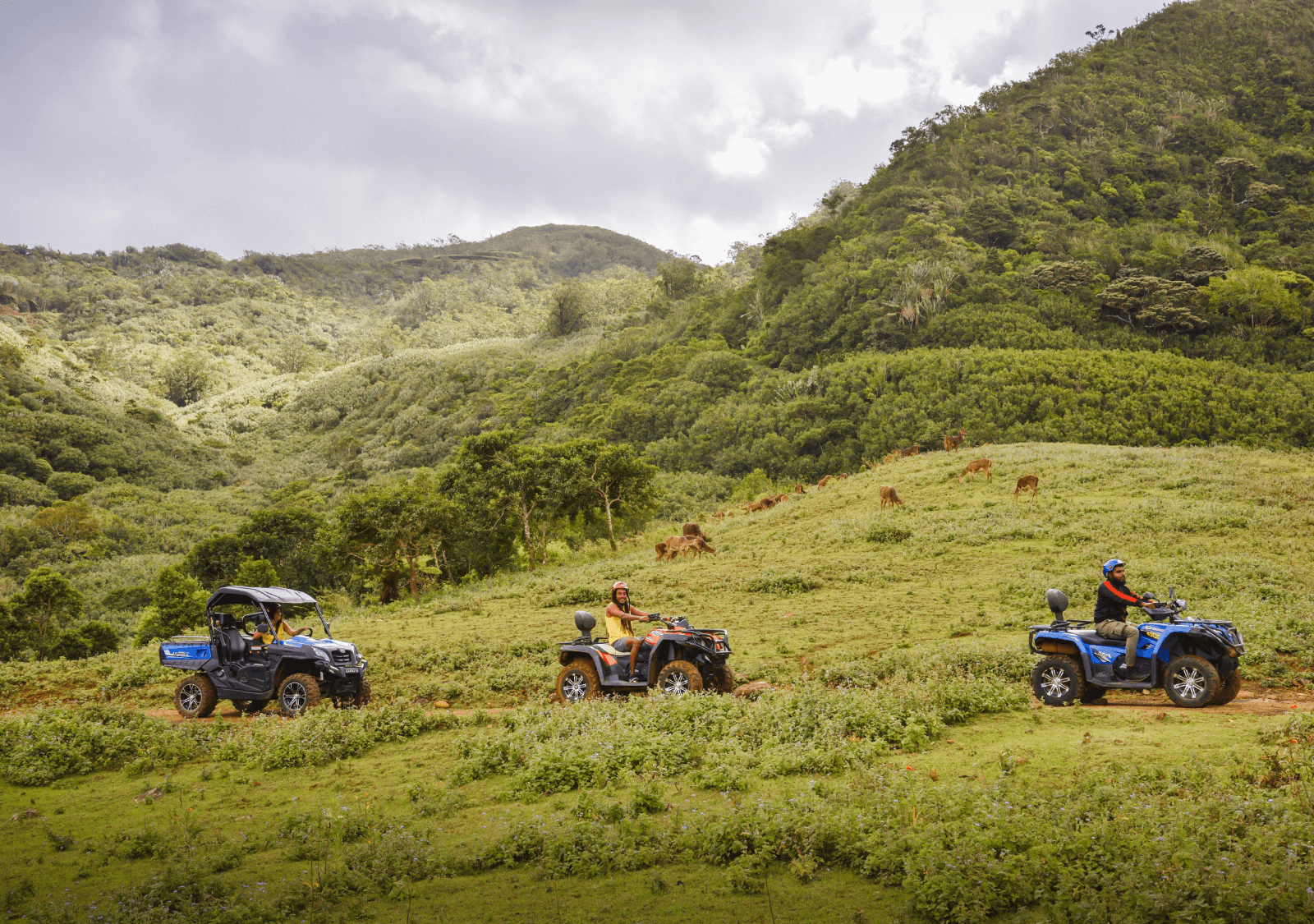 Quad Adventure Ride at La Vallée des Couleurs (450cc), photo 4