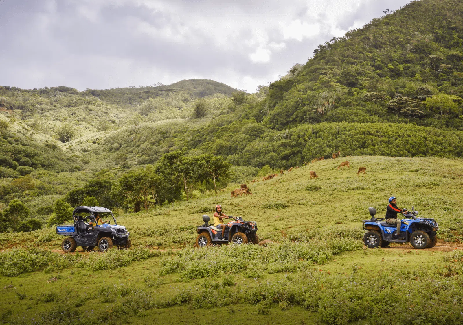 Quad Discovery + Adventure Ride at La Vallée des Couleurs, listing photo