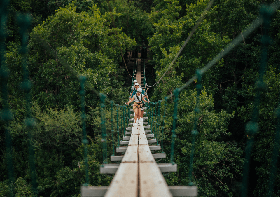 Nepalese Bridge & Zip Line Circuit at Casela Nature Park, photo 3