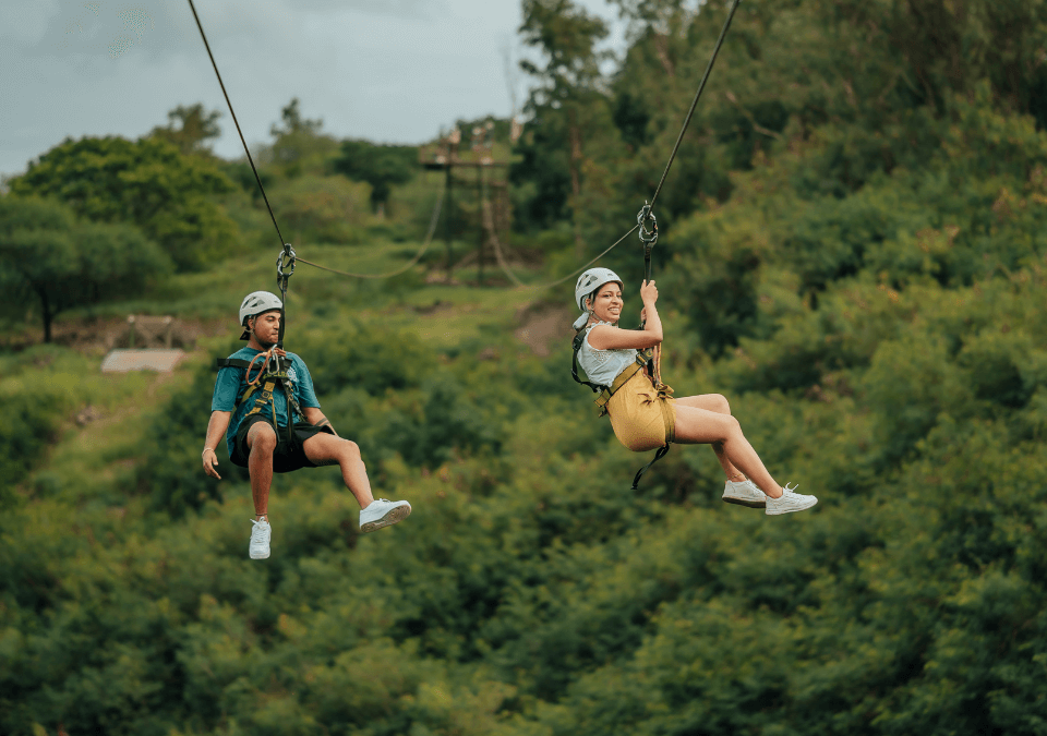 Nepalese Bridge & Zip Line Circuit at Casela Nature Park, photo 4