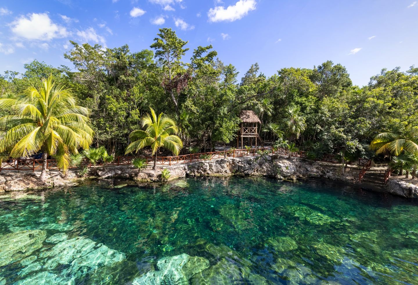 Mexico Dive Week: Cenotes, Reef & Bull Sharks in Tulum gallery 4