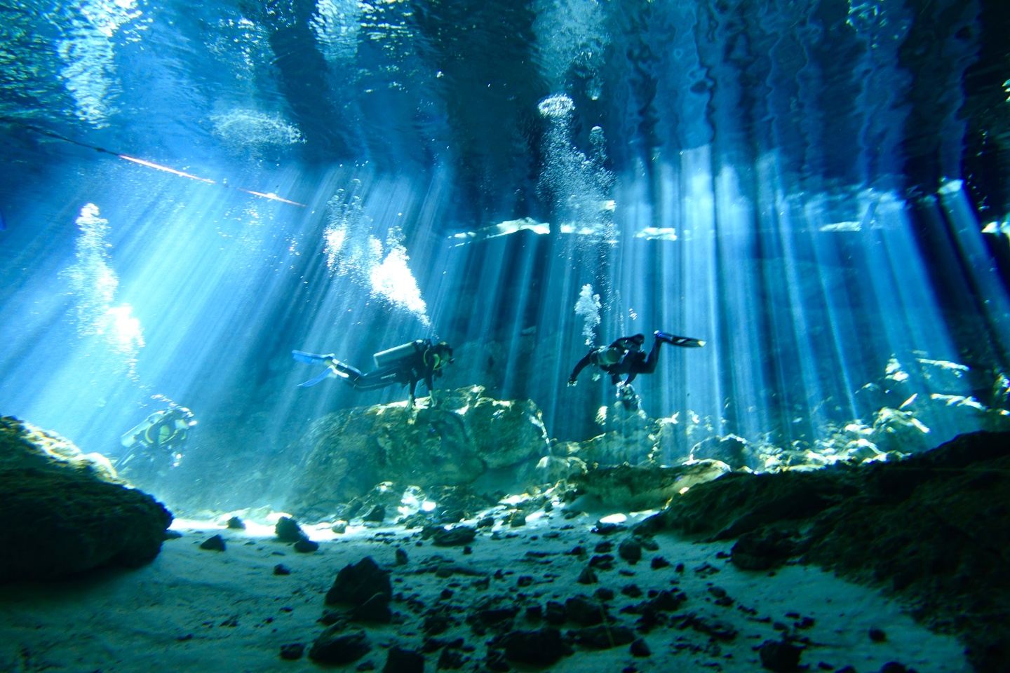 Mexico Dive Week: Cenotes, Reef & Bull Sharks in Tulum, listing photo