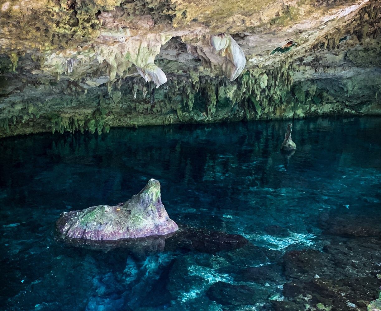 Mexico Dive Week: Cenotes, Reef & Bull Sharks in Tulum gallery 6