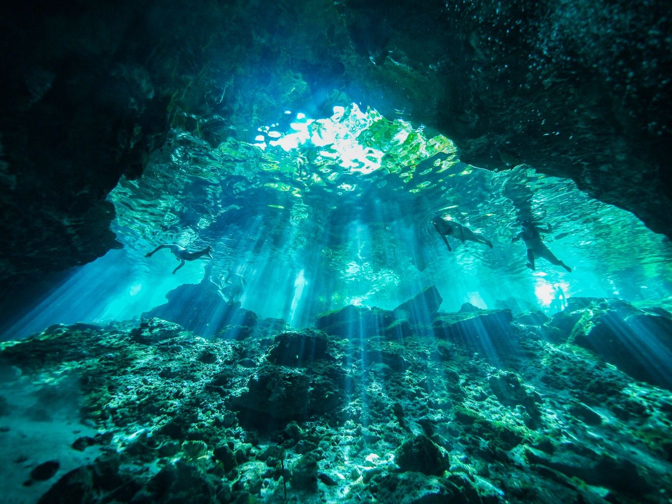 Mexico Dive Week: Cenotes, Reef & Bull Sharks in Tulum gallery 2