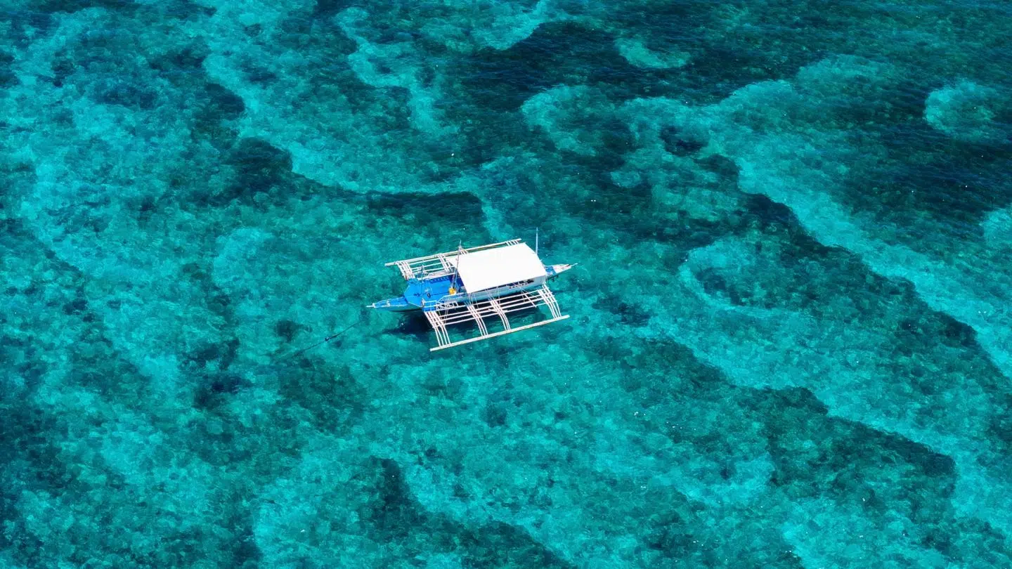 Two-Resort Philippines Dive Adventure: Malapascua & Moalboal, listing photo