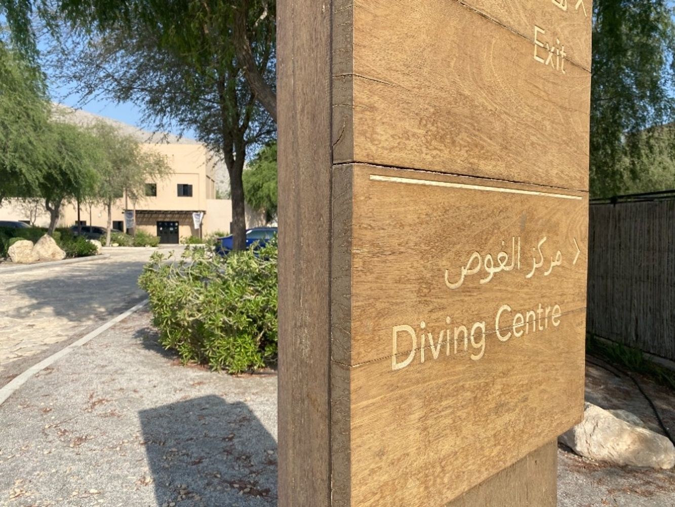 Day 4 – Diving Day 3 🐠 1