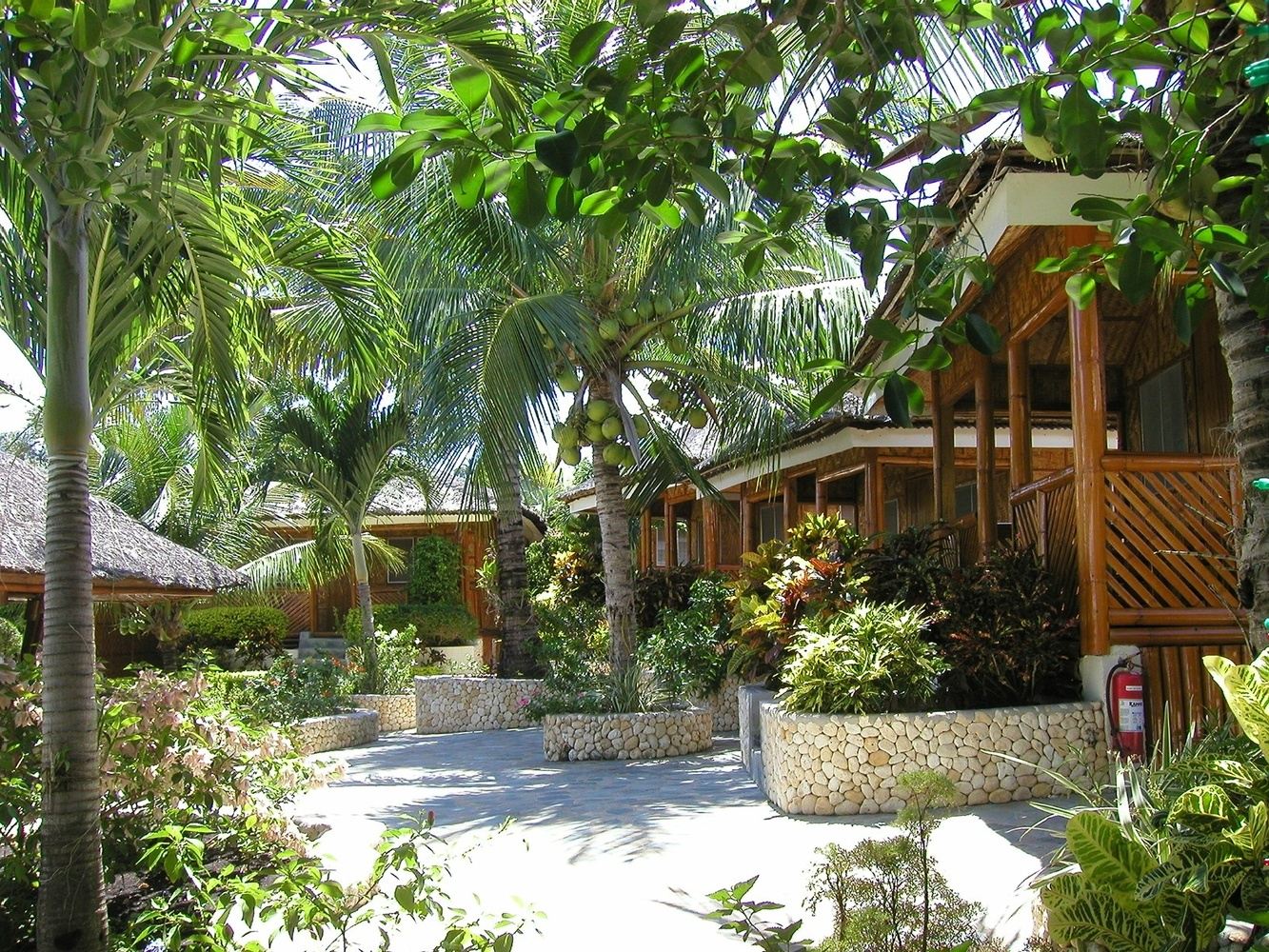 Two-Resort Philippines Dive Adventure: Malapascua & Moalboal 1