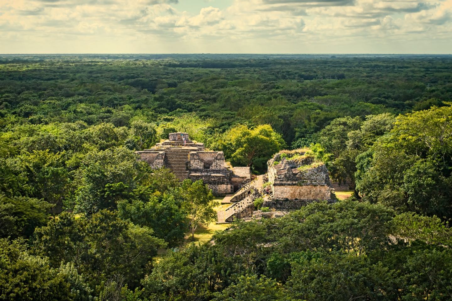 Mexico Dive Week: Cenotes, Reef & Bull Sharks in Tulum gallery 9