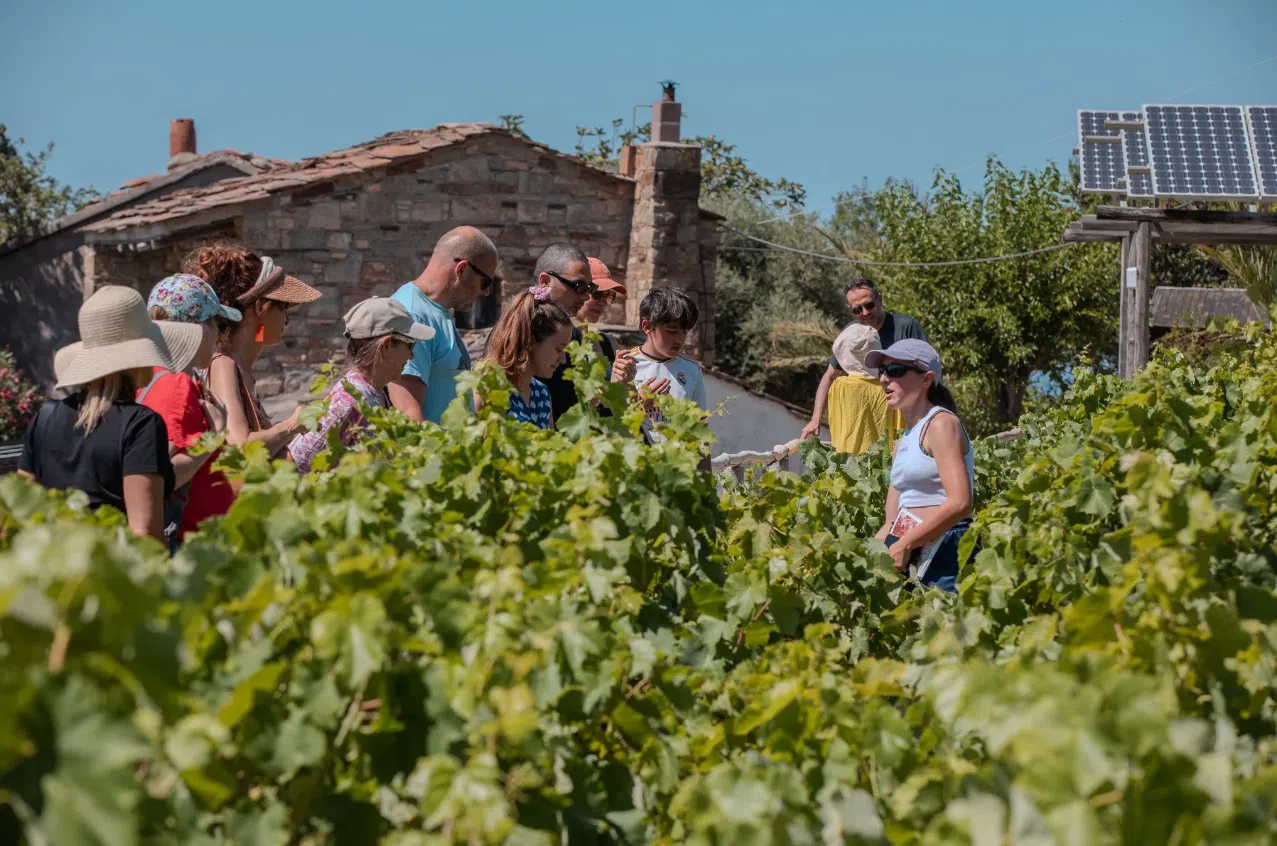 Wellness and Culture Hike in Ikaria: Pilates, Monastery and Winery Visit, photo 2