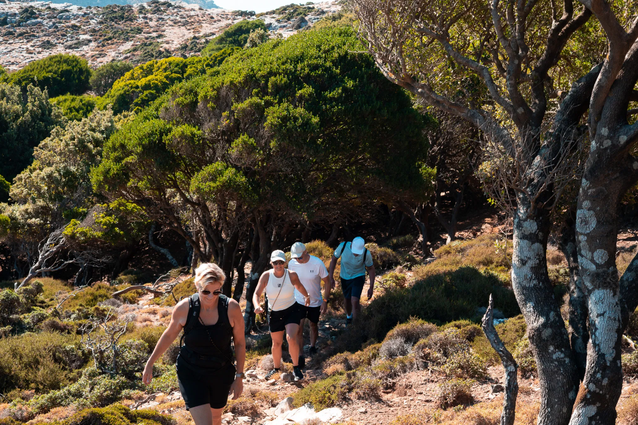 Hiking and Sailing in Ikaria: Randi’s Forest with Seychelles Beach and Village Lunch, photo 4