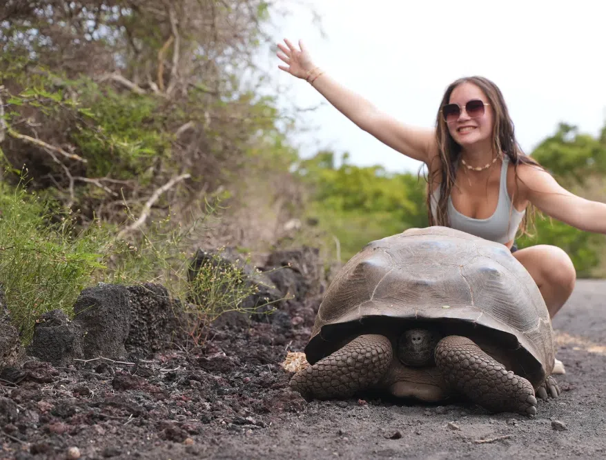 Bike or Hike Wetlands Wall of Tears & Giant Tortoise Breeding Center Isabela, listing photo