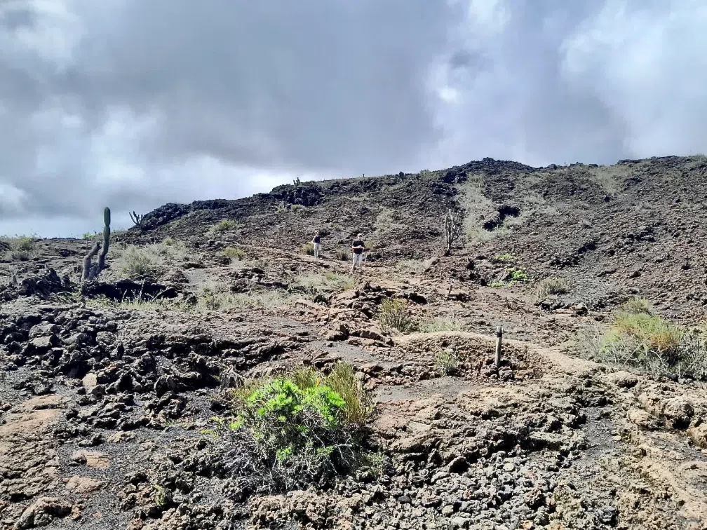 Hike to Volcán Sierra Negra and Volcán Chico, Isabela, photo 2