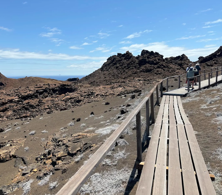 5 Day Galapagos Islands Hiking, Snorkelling and Wildlife Tour gallery 3