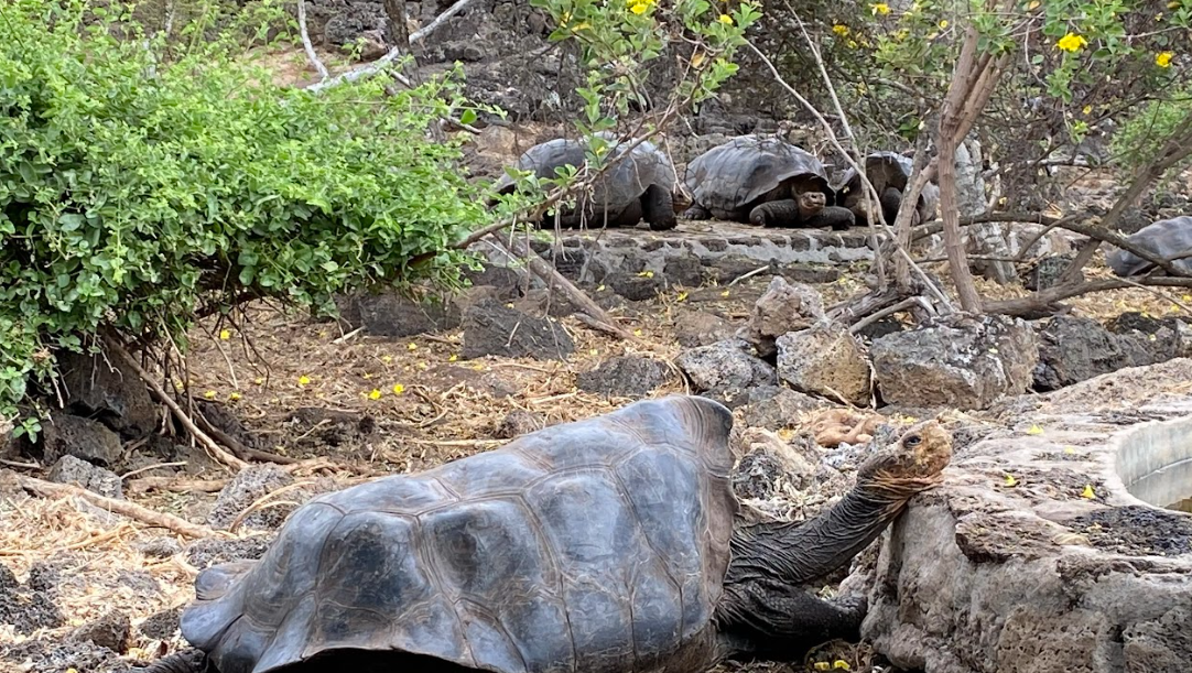 7 Day Snorkelling and Hiking Galapagos Islands Adventure gallery 2