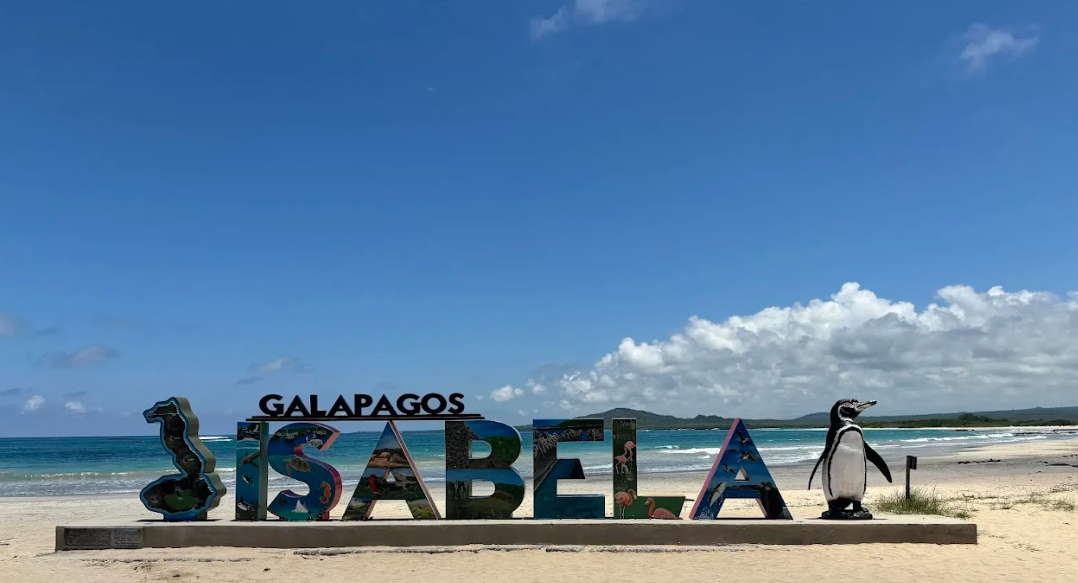 7 Day Snorkelling and Hiking Galapagos Islands Adventure gallery 8