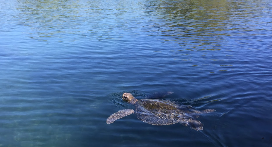 7 Day Snorkelling and Hiking Galapagos Islands Adventure gallery 9