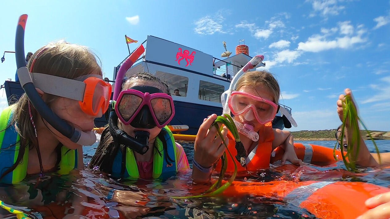 Family Boat Trip With Snorkelling in Ibiza, photo 3