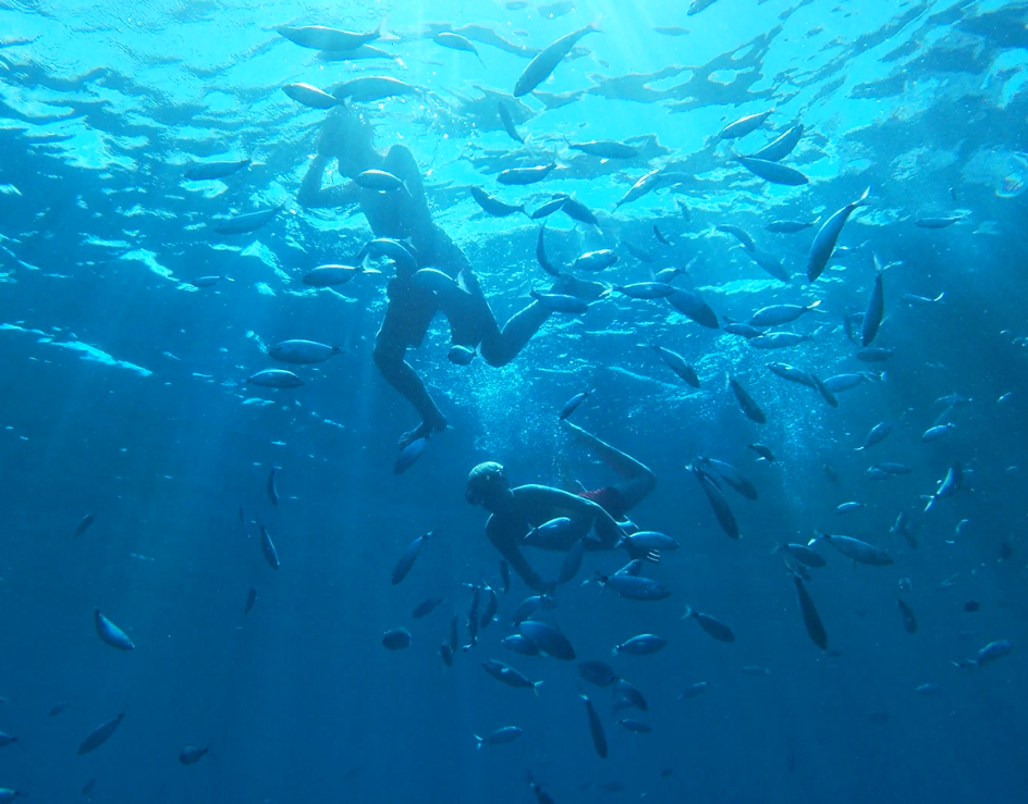 Family Boat Trip With Snorkelling in Ibiza gallery 8
