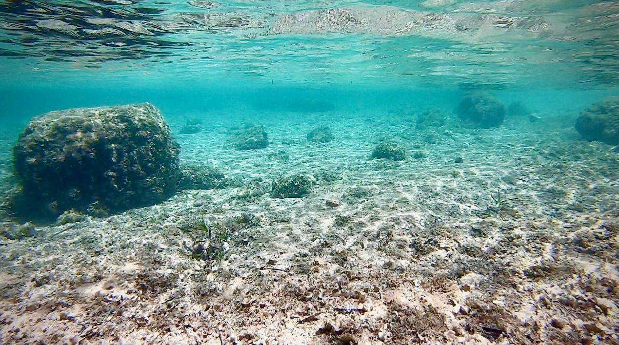 Family Boat Tour from Palma with Snorkelling & Paddlesurf gallery 5