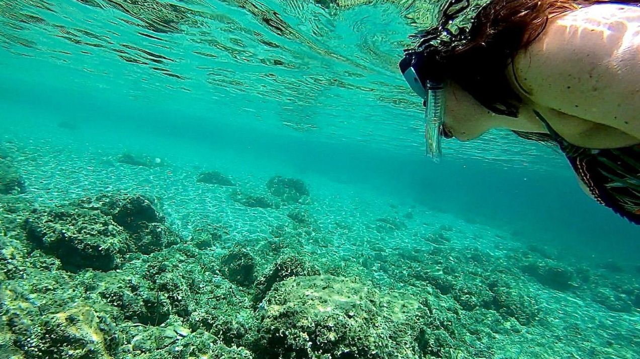 Family Boat Tour from Palma with Snorkelling & Paddlesurf gallery 7