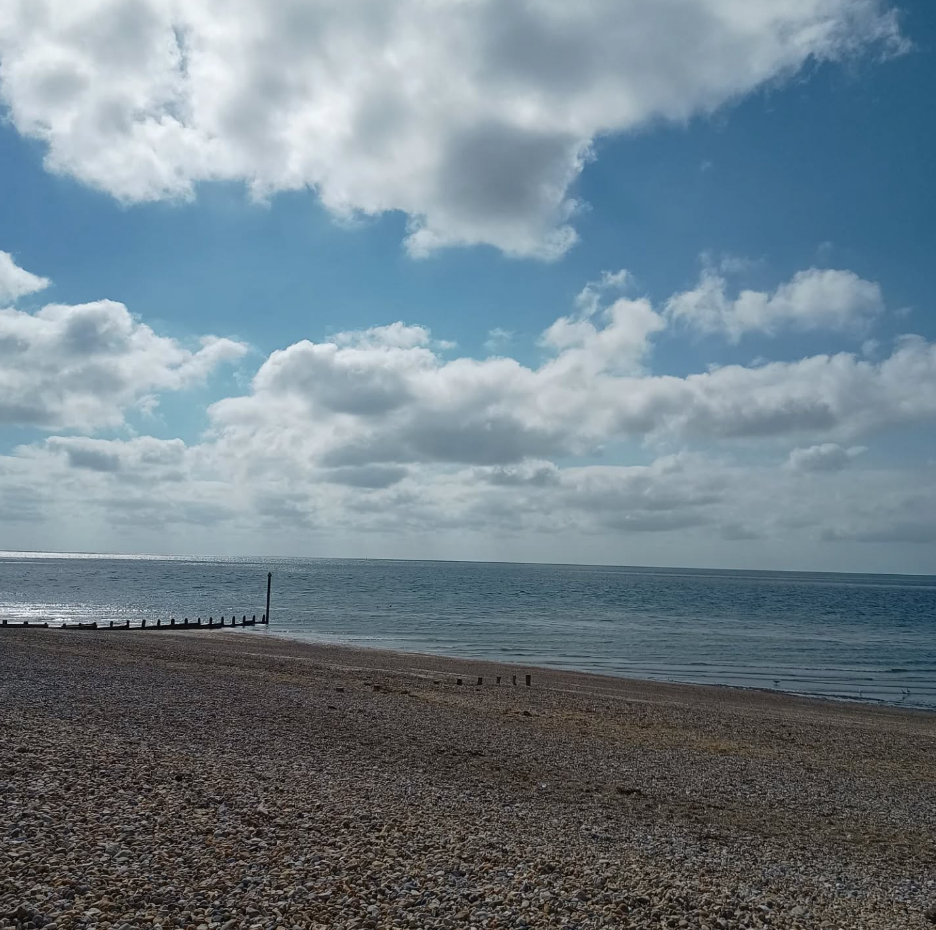 Marine Life Walks in Selsey, West Sussex gallery 10