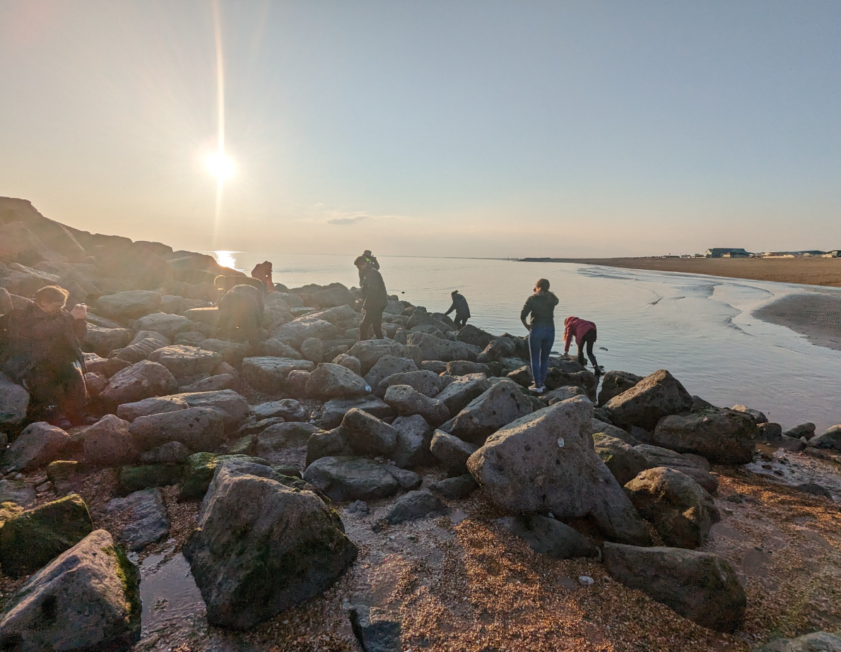 SSI Marine Ecology Course in Selsey, West Sussex gallery 4