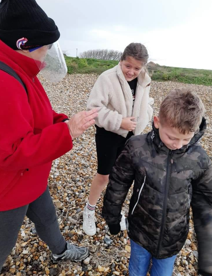 Marine Life Walks in Selsey, West Sussex gallery 5