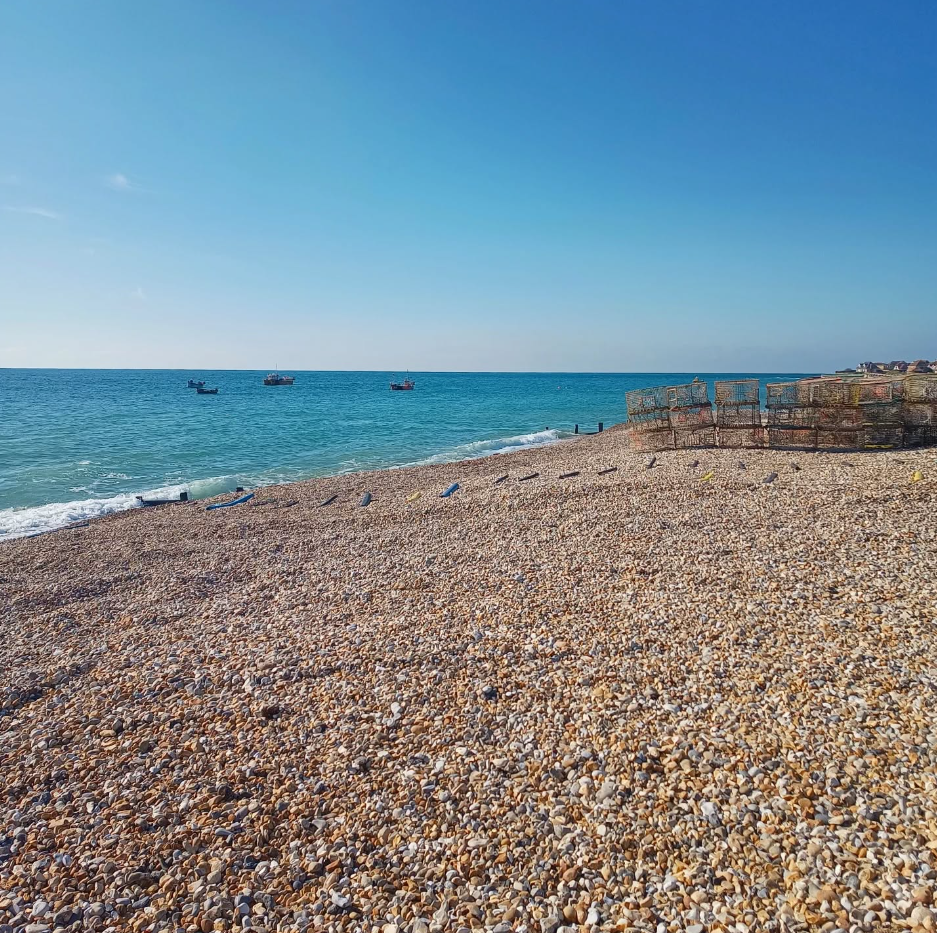 SSI Snorkel Diver Course in Selsey, West Sussex, photo 5