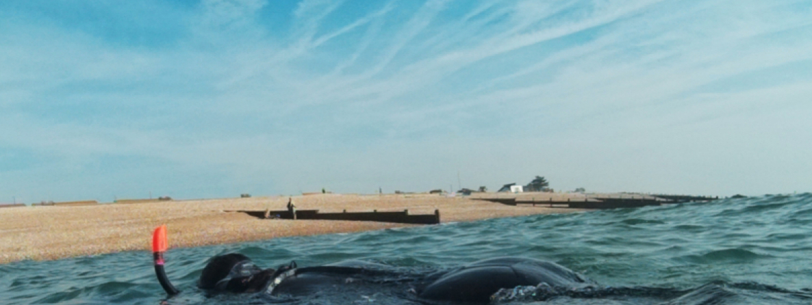 SSI Snorkel Diver Course in Selsey, West Sussex gallery 2